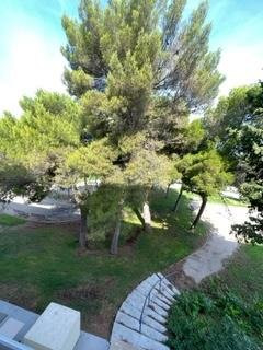 _clients_193454003_photos_309c_18381381 _clients_193454003_photos_309c_18381381