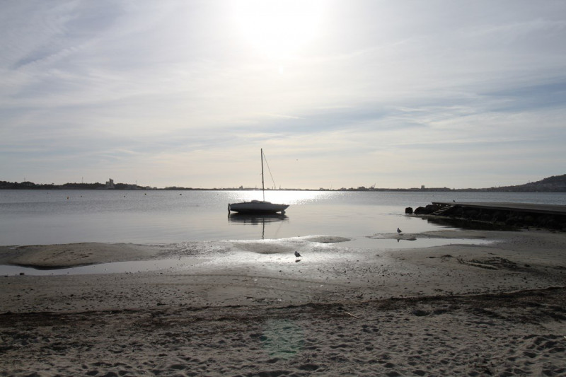 _clients_193454005_photos_450l_18746041