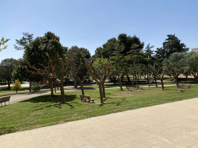 _clients_193454005_photos_541n_18596759 _clients_193454005_photos_541n_18596759