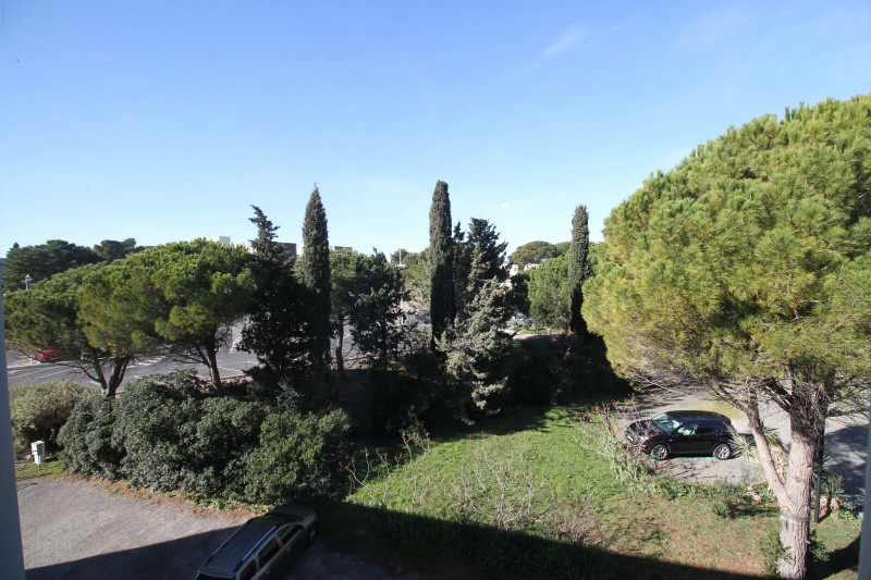 _clients_193454005_photos_598m_18120661 _clients_193454005_photos_598m_18120661