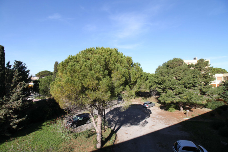 _clients_193454005_photos_598n_18420929 _clients_193454005_photos_598n_18420929