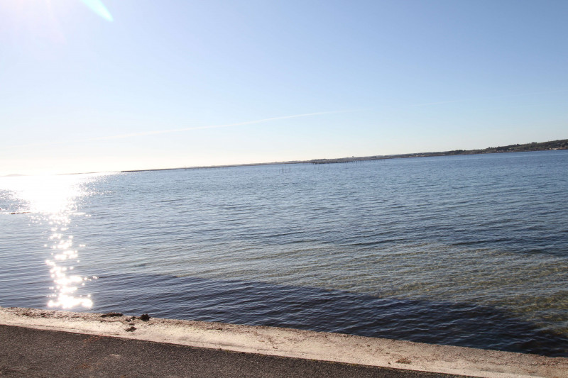 _clients_193454005_photos_625p_18516191 _clients_193454005_photos_625p_18516191