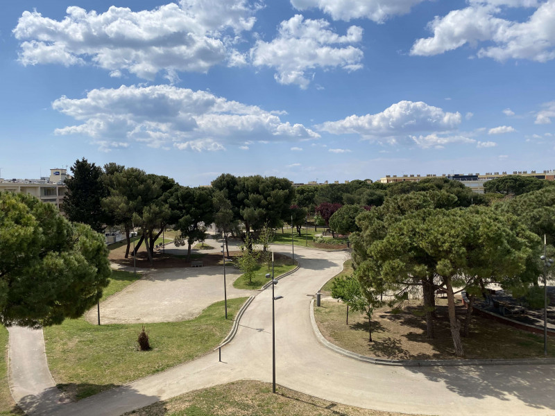 _clients_193454005_photos_655k_18331329