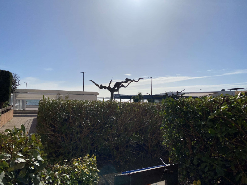 _clients_193454005_photos_667c_19322649