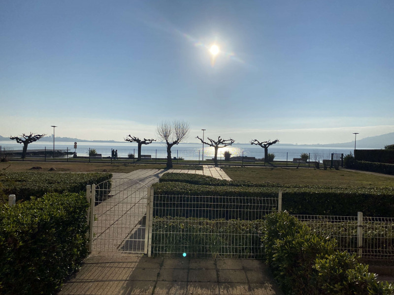 _clients_193454005_photos_678a_19205333 _clients_193454005_photos_678a_19205333