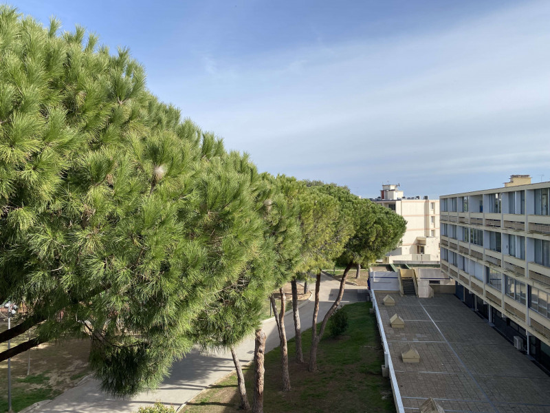 _clients_193454005_photos_739k_18597747 _clients_193454005_photos_739k_18597747