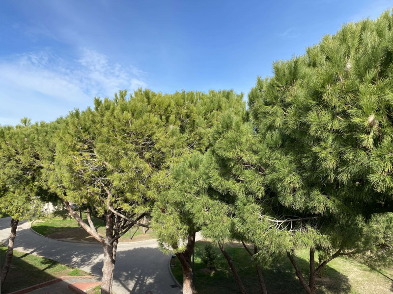 _clients_193454005_photos_739l_18597748 _clients_193454005_photos_739l_18597748