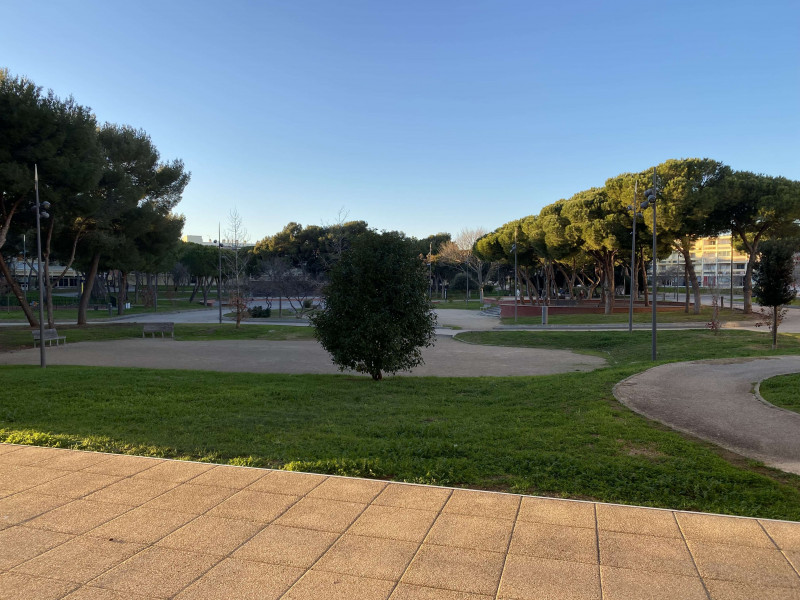 _clients_193454005_photos_781a_18677802 _clients_193454005_photos_781a_18677802