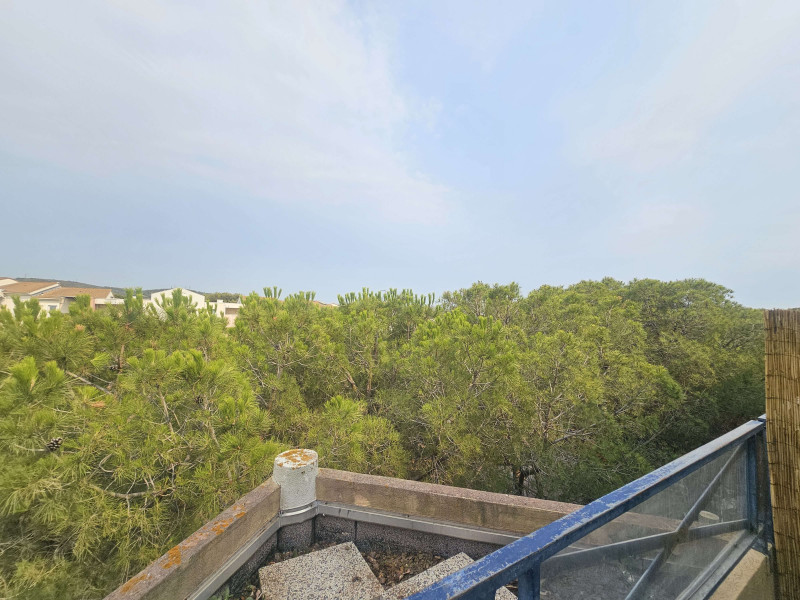 _clients_193454005_photos_809p_19194751