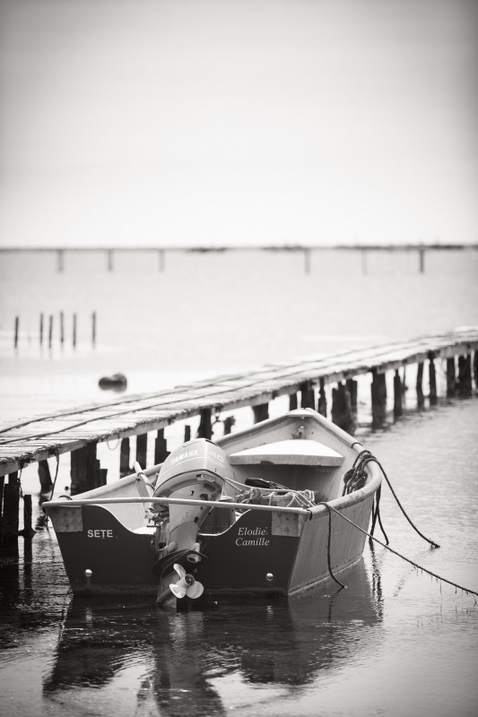 _lv_images__lot_0000000041_06_18393522 _lv_images__lot_0000000041_06_18393522