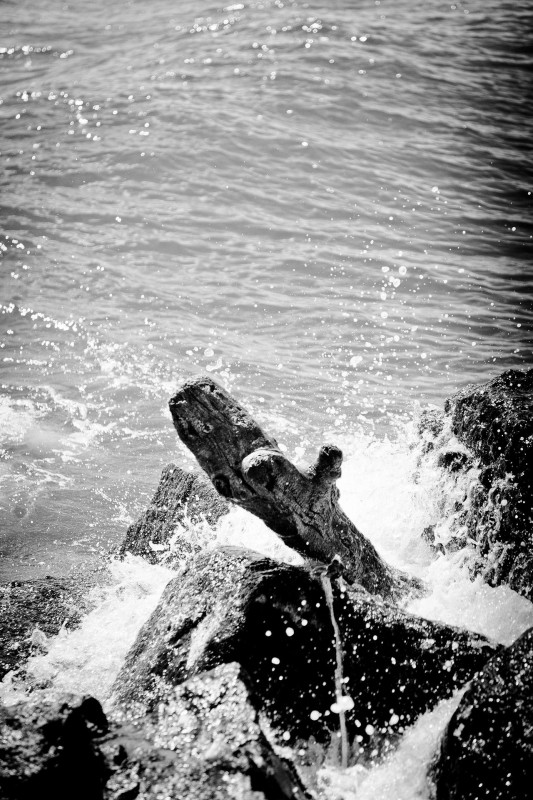 _lv_images__lot_0000000047_10_18379438 _lv_images__lot_0000000047_10_18379438