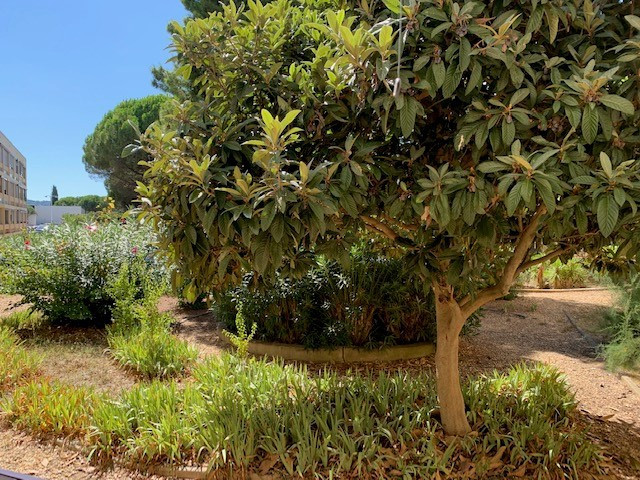 _lv_images__lot_0000000069_09_18840122