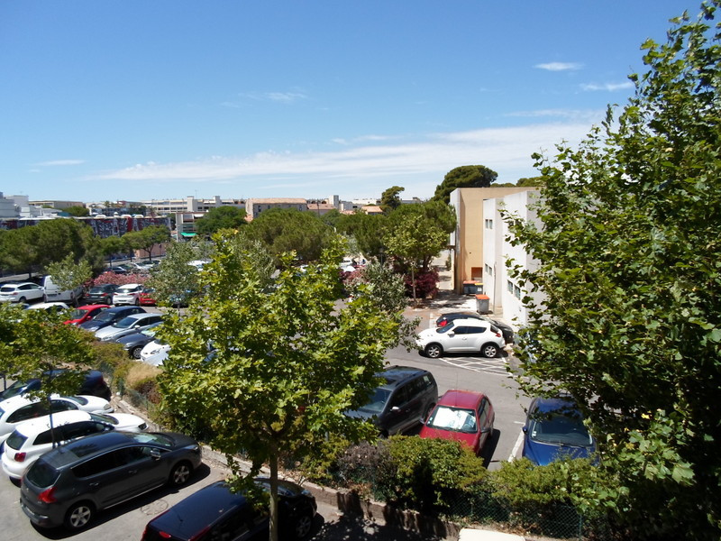 _lv_images__lot_0000000151_10_18960351 _lv_images__lot_0000000151_10_18960351