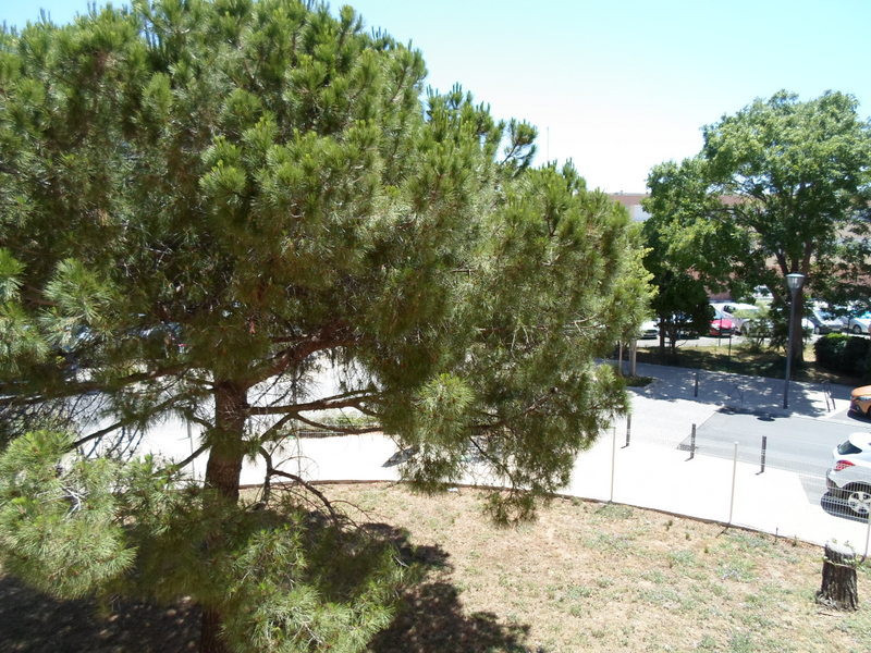 _lv_images__lot_0000000151_16_18960356 _lv_images__lot_0000000151_16_18960356