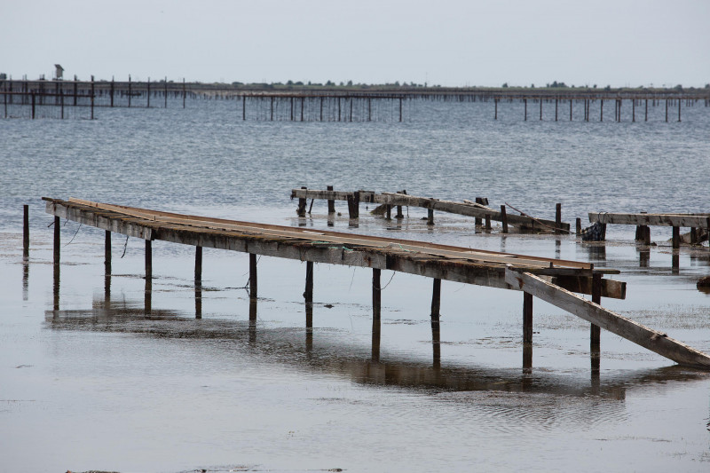 _lv_images__lot_0000000170_10_19127690 _lv_images__lot_0000000170_10_19127690