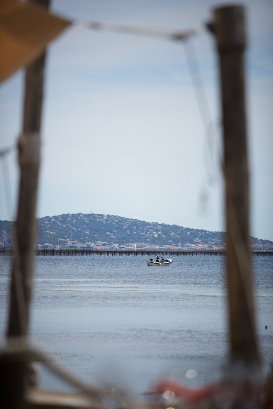 _lv_images__lot_0000000192_06_18440038 _lv_images__lot_0000000192_06_18440038