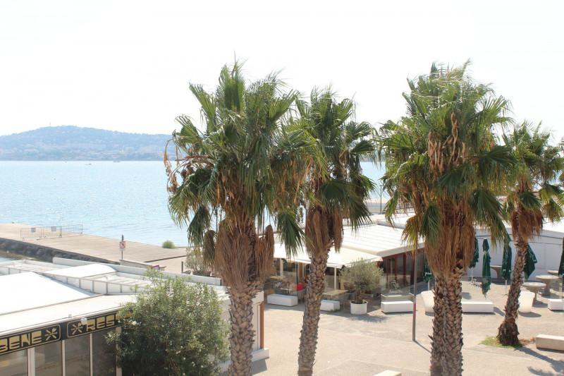 _lv_images__lot_0000000239_01_18608940