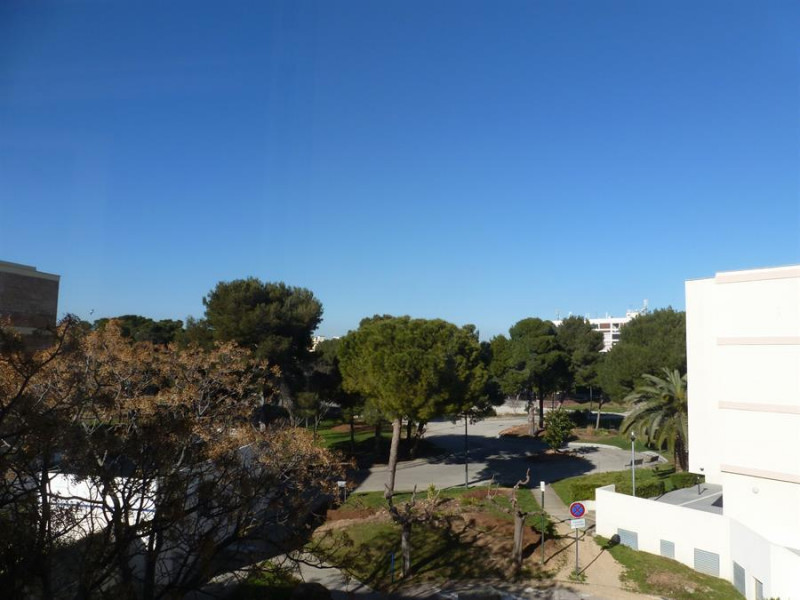 _lv_images__lot_0000000352_09_18117614 _lv_images__lot_0000000352_09_18117614