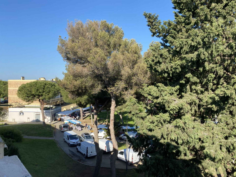 _lv_images__lot_0000000442_11_19127012 _lv_images__lot_0000000442_11_19127012