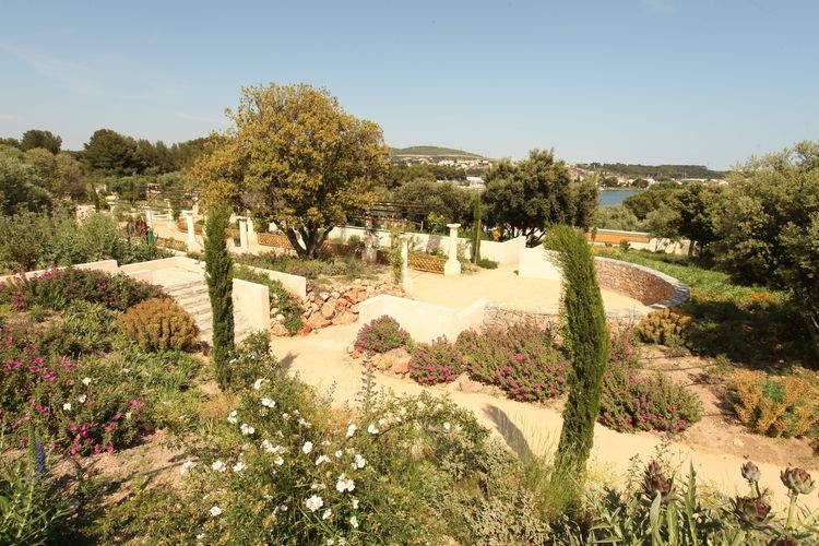 jardin-antique-mediterraneen-1314360766-9396-8124656